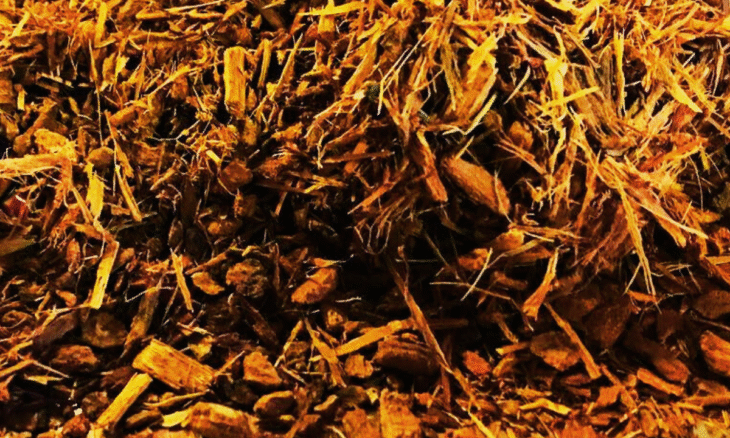 Panchavalkala